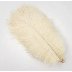 Straussenfeder beige 18 cm
