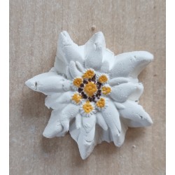 Edelweiss