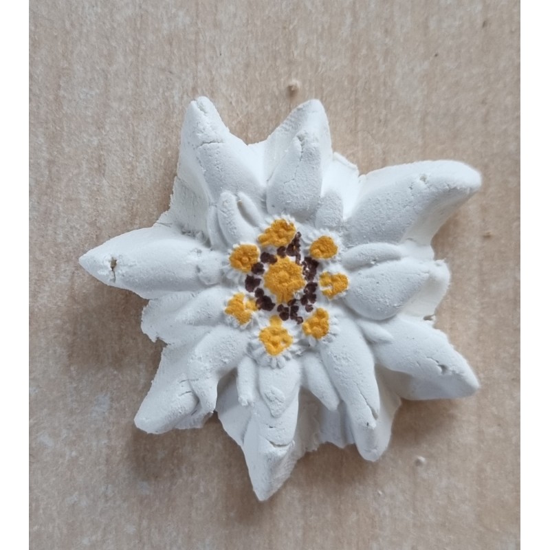 Edelweiss