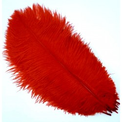 Straussenfeder rot
