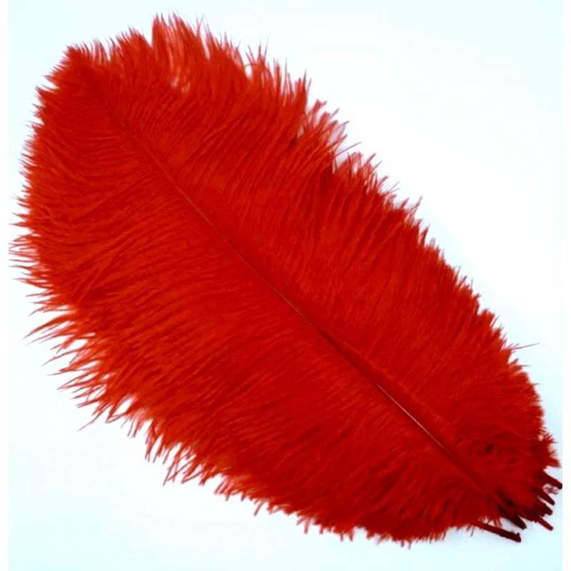 Straussenfeder rot