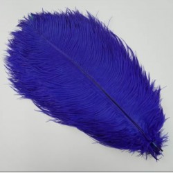 Straussenfeder royalblau