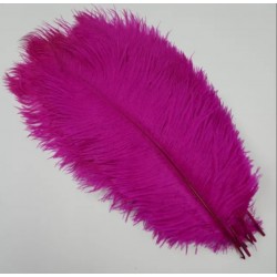 Straussenfeder pink
