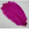 Straussenfeder pink