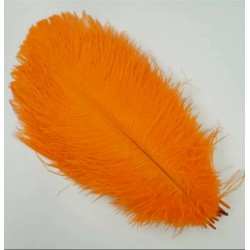 Straussenfeder orange
