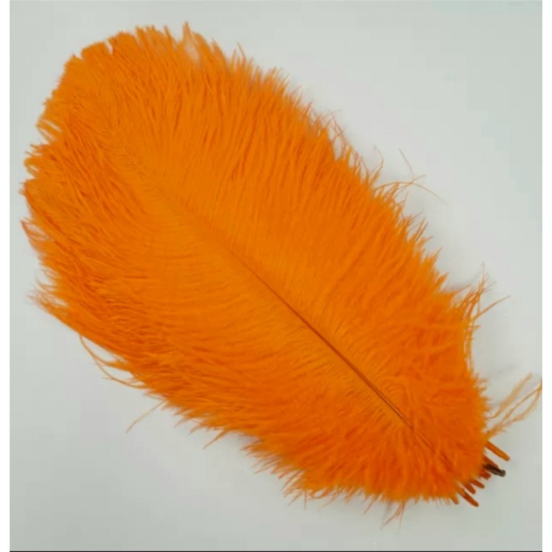 Straussenfeder orange