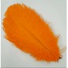 Straussenfeder orange