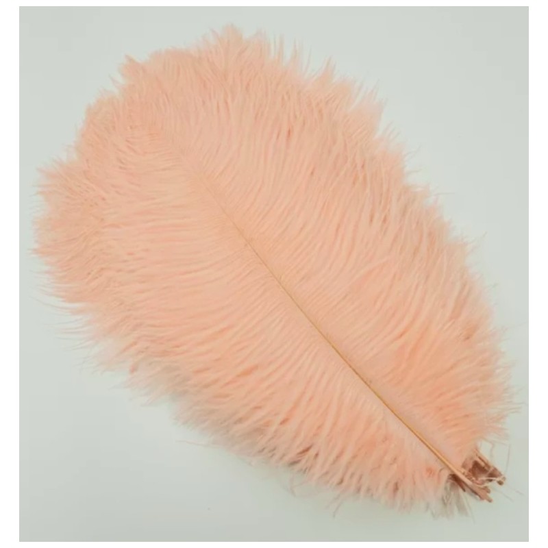 Straussenfeder apricot