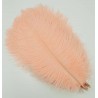Straussenfeder apricot