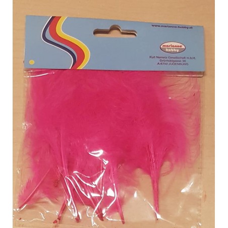 Federn magenta
