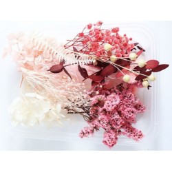 Trockenblumen Set pink