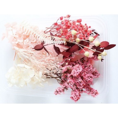 Trockenblumen Set pink