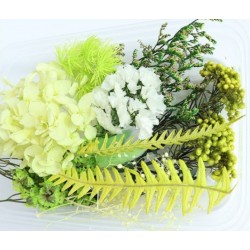 Trockenblumen Set hellgrün