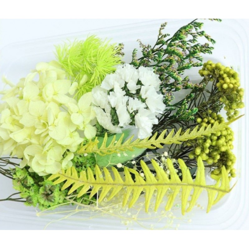 Trockenblumen Set hellgrün