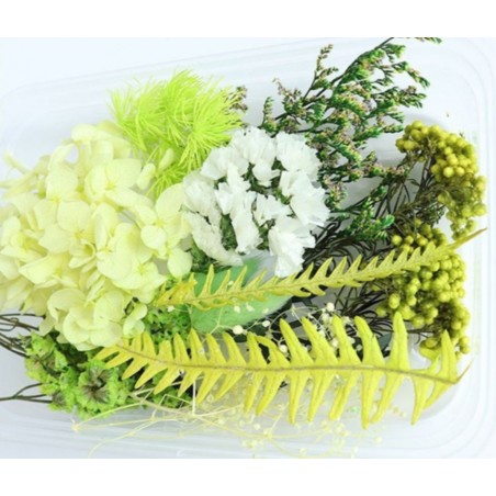 Trockenblumen Set hellgrün