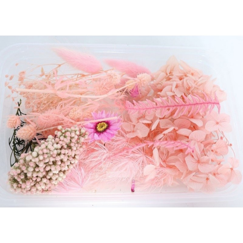 Trockenblumen Set rosa