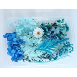 Trockenblumen Set türkis