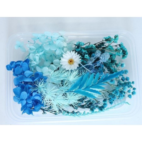 Trockenblumen Set türkis