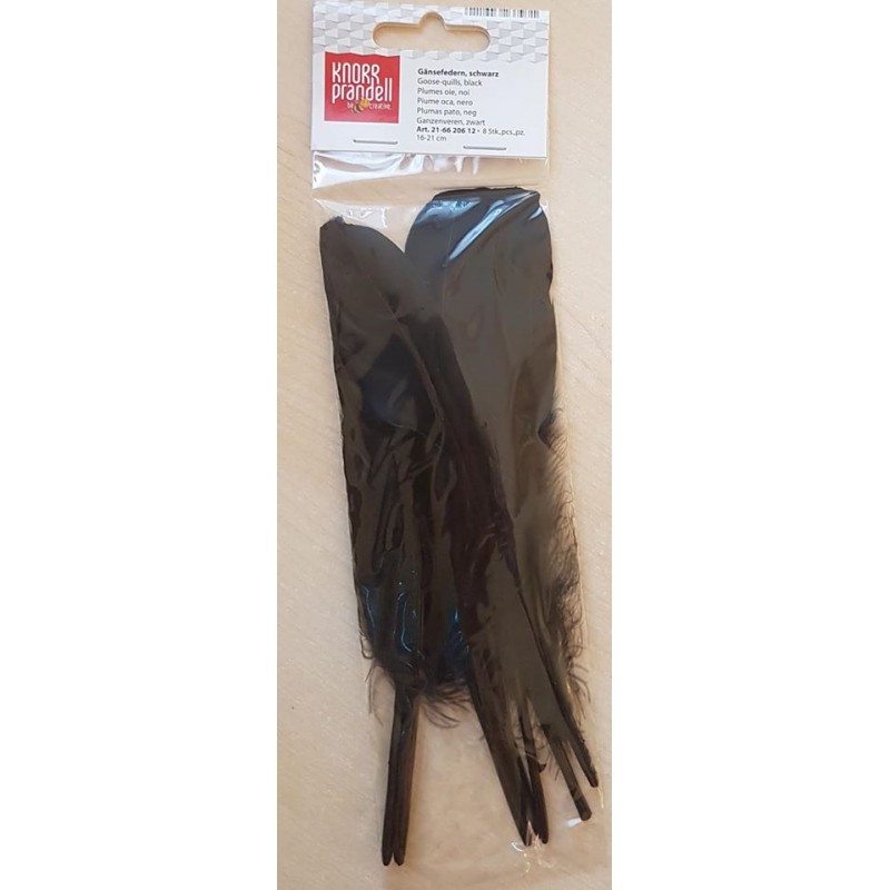 Gänsefedern schwarz