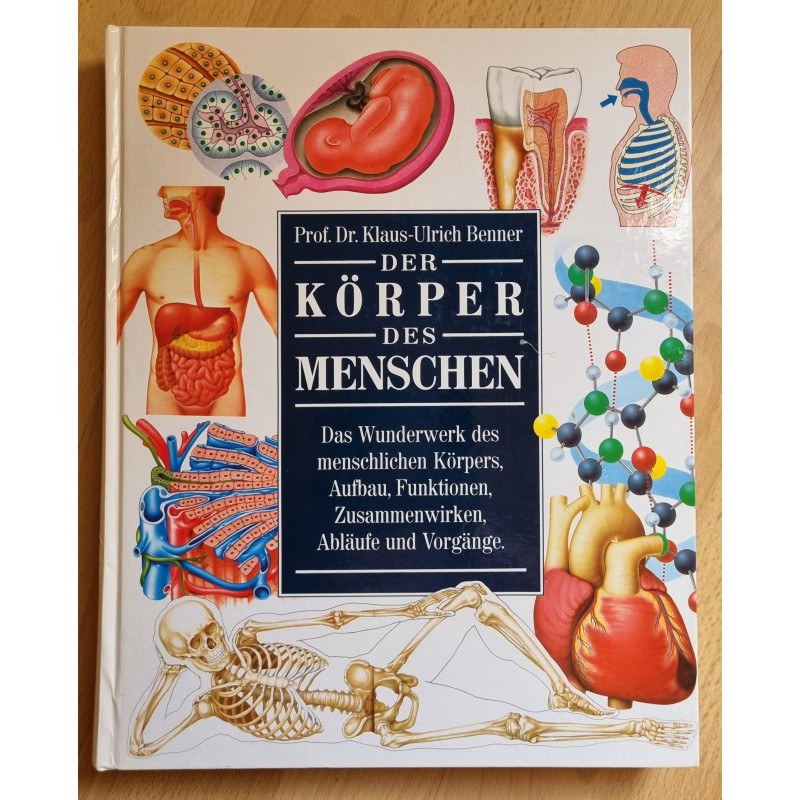 Der Körper des Menschen
