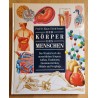 Der Körper des Menschen