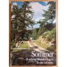 Sommer 18 schöne Wanderungen in der Schweiz