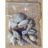 Muscheln gemischt