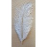 Glitter Feder weiss/gold