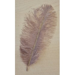 Glitter Feder taupe/gold