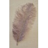 Glitter Feder taupe/gold