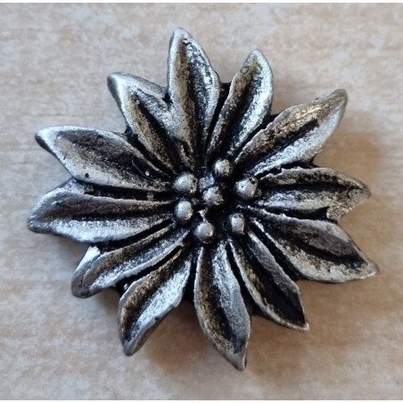 Kunststoff Edelweiss altsilber