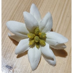 Stoff Edelweiss