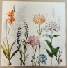 Serviette Blumenwiese bunt
