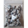 Muscheln