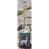 Lampe Hirsch/Edelweiss