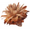 Leucospernum Blüte
