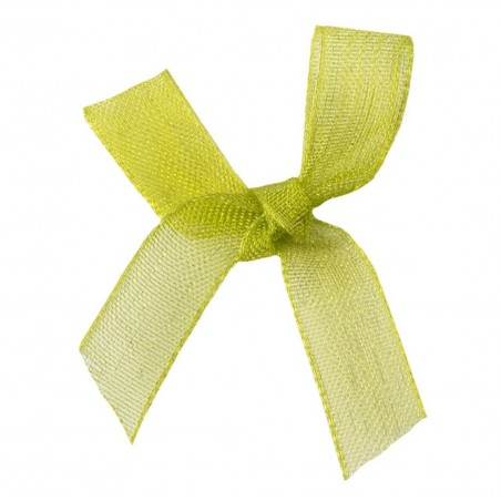 Organza Schleife hellgrün