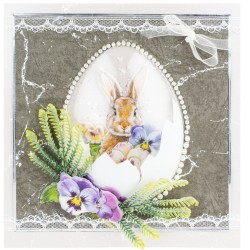 Motiv-Bolblister Ei transparent mit Eierschalendesigne