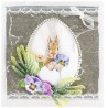 Motiv-Bolblister Ei transparent mit Eierschalendesigne