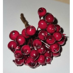 Beeren-Bund rot