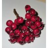Beeren-Bund rot