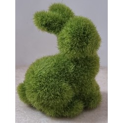 Mini Hase Moos