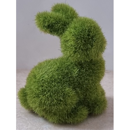 Mini Hase Moos