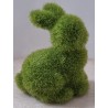 Mini Hase Moos