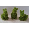 Mini Hase Moos