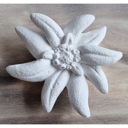 Beton Edelweiss