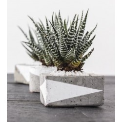 Kreativ Beton 2.5 kg