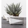 Kreativ Beton 1 kg