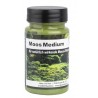 Moos Medium