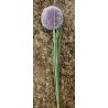 Kunstblume violette